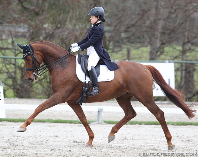 Yoshie Ota on Boolya PB at the 2018 CDI NIeuw en St. Joosland :: Photo © Astrid Appels