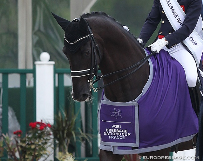 Dark Legend at the 2019 FEI Nations Cup in Compiègne :: Photo © Astrid Appels