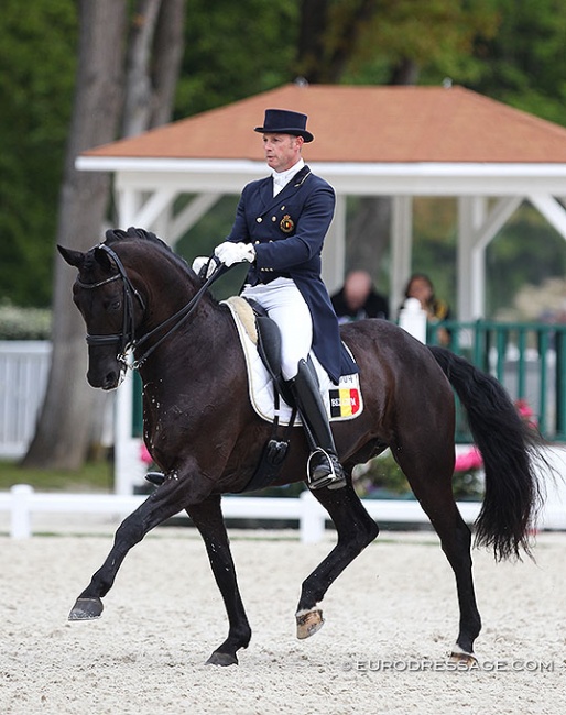 Tom Heylen and Gucci H at the 2019 CDIO Compiègne :: Photo © Astrid Appels