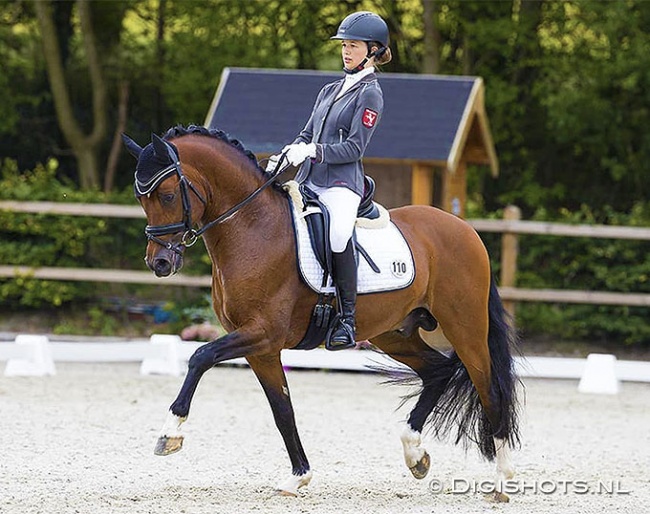 Vivien Borgmann and Kachunga at the 2019 CDI Exloo :: Photo © Digishots