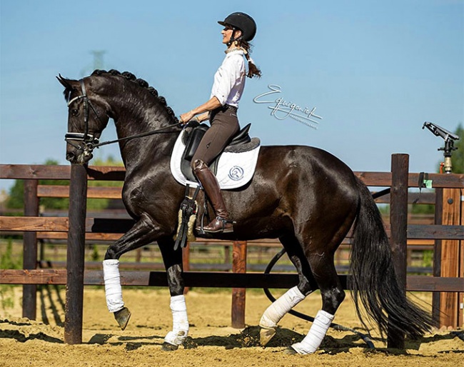 Alizee Froment and Windy de la Roche CMF :: Photo © Equigeniek