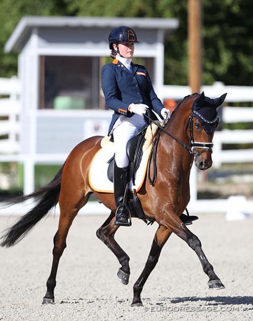 Sita Hopman and Brouwershaven Uthopia II at the 2020 European Pony Championships :: Photo © Astrid Appels