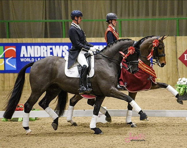 Carl Hester on En Vogue and Charlotte Dujardin on Mount St. John Freestyle at the 2020 British Grand Prix Championships in Hartpury :: Photo © Jess Tog Photography
