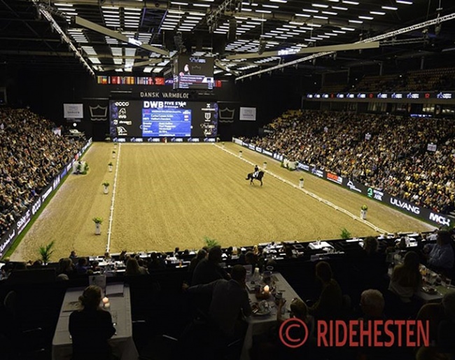 Dressage at the Danish Warmblood Stallion Licensing in Herning :: Photo © Ridehesten