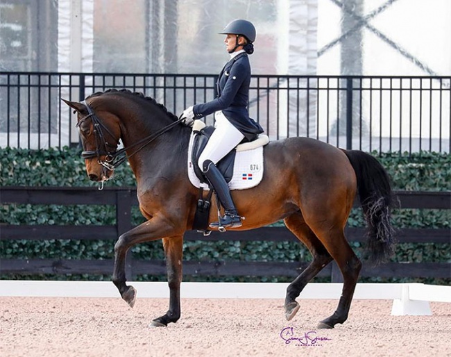 Yvonne Losos de Muniz and Aquamarijn at the 2020 CDI Wellington December :: Photo © Sue Stickle