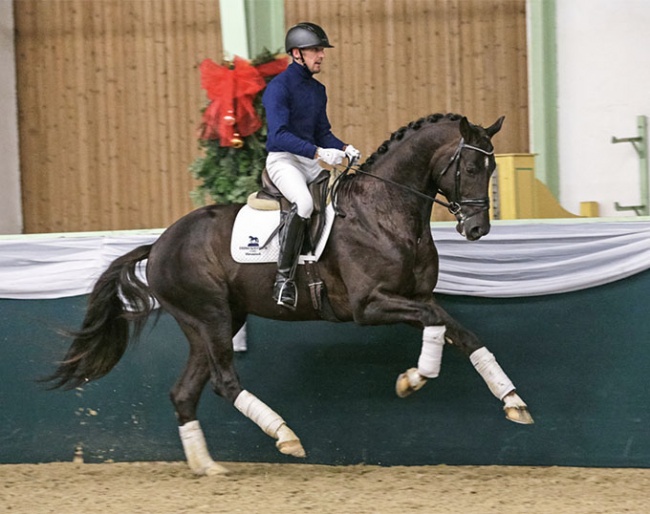Ticino (by Toto Jr x Jazz) :: Photo © Anett Somogyvari