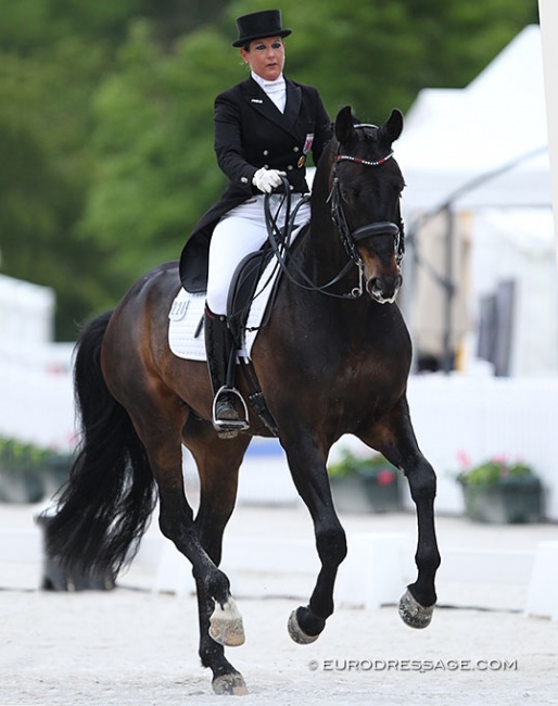 Verena Heinz on Statesman OLD at the 2017 CDIO Compiègne :: Photo © Astrid Appels