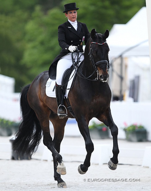Verena Heinz on Statesman OLD at the 2017 CDIO Compiègne :: Photo © Astrid Appels