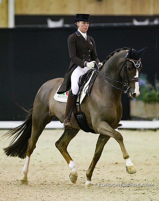 Isabel Cool and Constand at the 2017 CDI Lier :: Photo © Astrid Appels