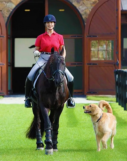 Jane Savoie on her Friesian Grand Prix stallion Menno, joined by dog Indy :: Photo © Rhett Savoie