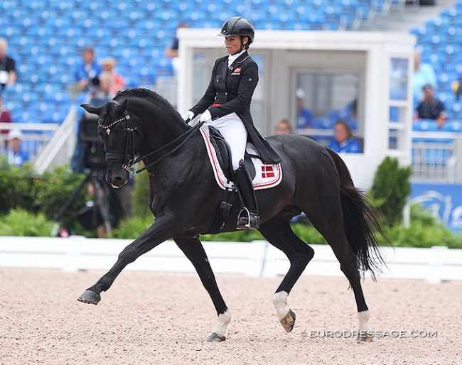 Danish Rikke Svane and Finckenstein TSF at the 2018 World Equestrian Games in Tryon :: Photo © Astrid Appels