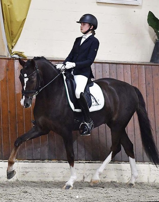 Veronica Pawluk competing D'Artagnan at the CDN Ankum in the autum of 2020 :: Photo © Ruchel