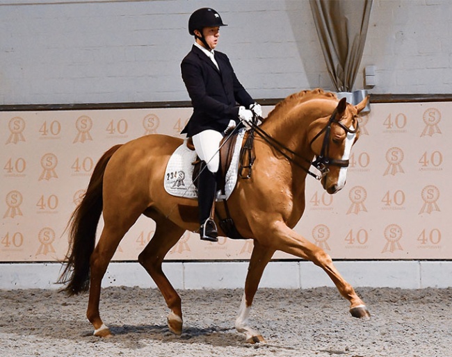 German based Belgian Dries van Dyck on Didou at the 2020 CDN Ankum :: Photo © Ruchel