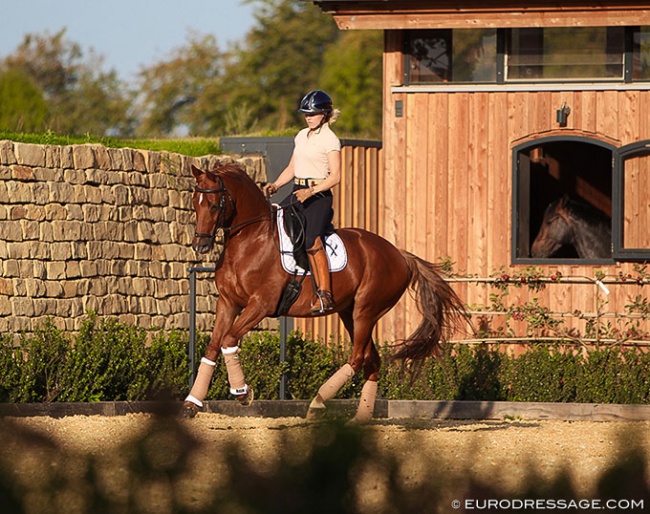 Terhi Stegars and Eddox (by Gribaldi x Ferro) at the Contern Dressage Center in Luxembourg :: Photo © Astrid Appels