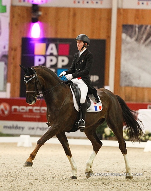 French junior rider Hector Milochevitch on Bernardo R at the 2020 CDI Lier :: Photo © Astrid Appels