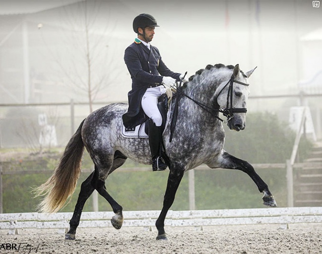 Roberto Brasil and Vila de Sagres' Grand Prix stallion Hercules d'Atela :: Photo © Afonso Rodrigues