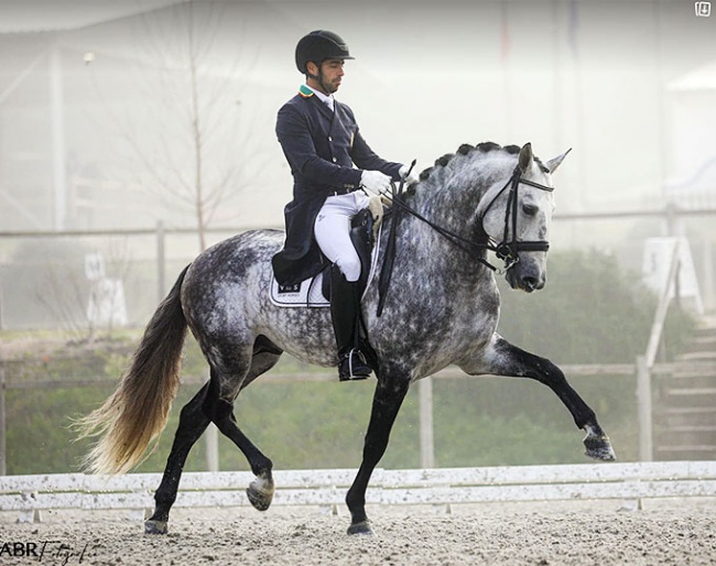 Roberto Brasil and Vila de Sagres' Grand Prix stallion Hercules d'Atela :: Photo © Afonso Rodrigues