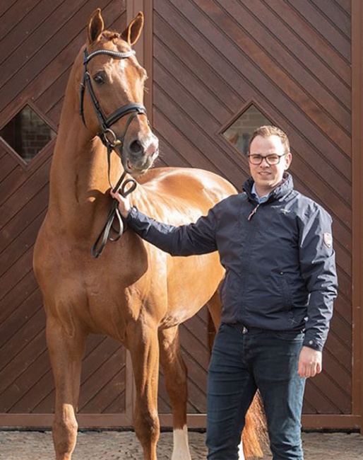 Vivaldi with Blue Hors breeding director Martin Klavsen in 2020 :: Photo © Ridehesten