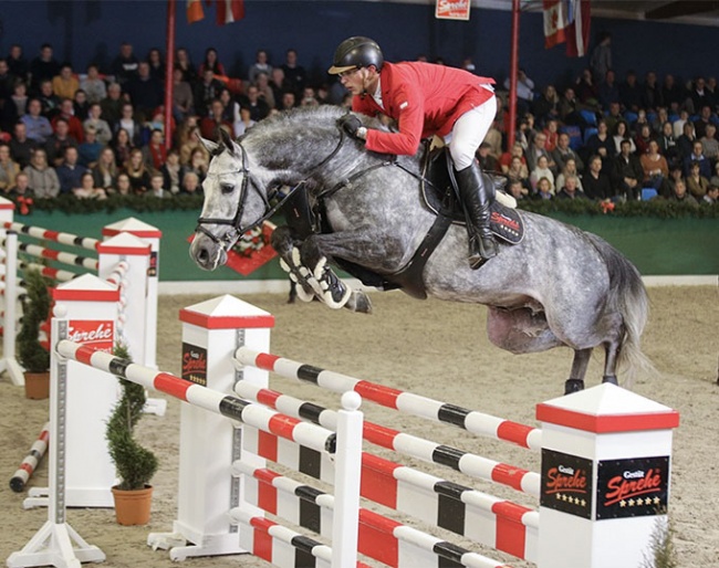 Gestut Sprehe's jumper stallion Hickstead White :: Photo © LL-foto