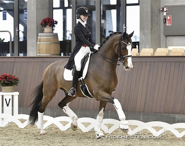 Born in Malaysia and living in Singapore, the Danish junior Annabelle Rehn commutes between Asia and Europe to ride Vestervangs Garson :: Photo © Ridehesten