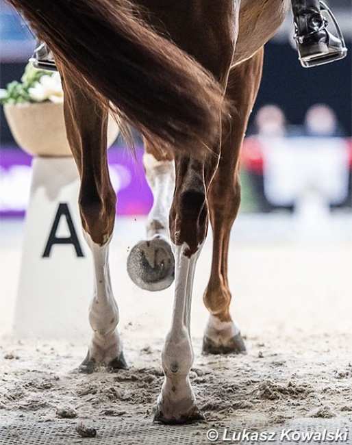 Dressage legs at the 2021 CDI-W Salzburg :: Photo © Lukasz Kowalski