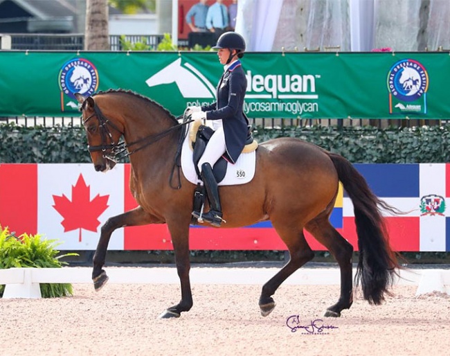 Olivia Lagoy-Weltz and Rassing's Lonoir at the 2021 CDI-W Wellington :: Photo © Sue Stickle
