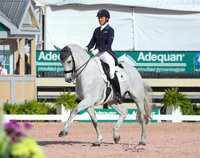 Adrienne Lyle and Harmony's Duval at the 2021 CDI-W Wellington :: Photo © Sue Stickle