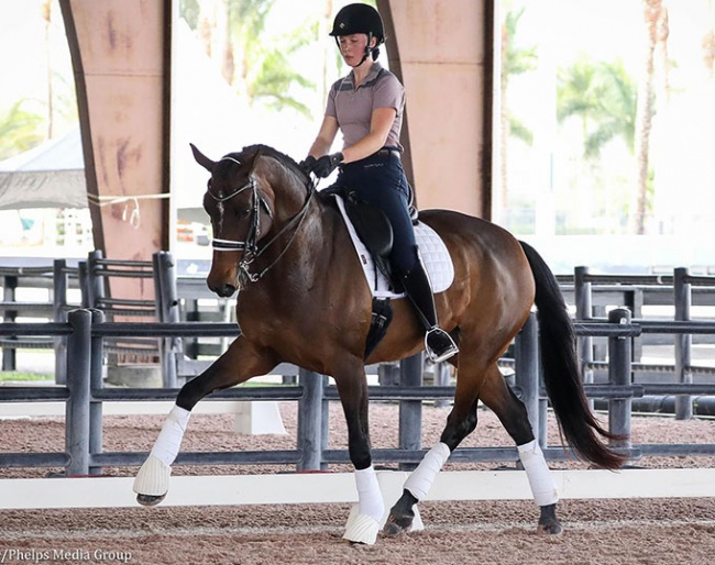 Allison Nemeth and Tiko riding in the 2021 USEF Robert Dover Horsemastership Clinic Week :: Photo © Annan Hepner/PMG