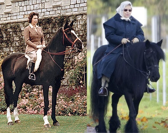 Age with Grace and keep on riding into your 90s like Queen Elisabeth II