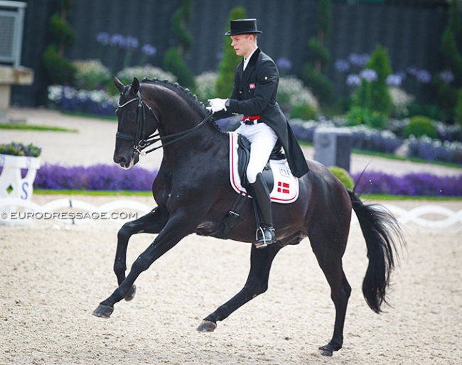 Daniel Bachmann Andersen and Blue Hors Hotline at the 2016 CDIO Aachen :: Photo © Astrid Appels