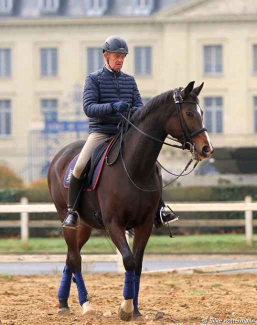 Christian Carde re-training Milady (by De Niro) in 2017 :: Photo © Silke Rottermann