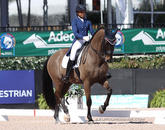 Anna Buffini and Sundayboy at the 2017 CDI Wellington :: Photo © Astrid Appels