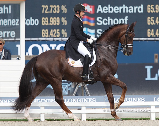 Simon Missiaen and Charlie at the 2019 European Dressage Championships :: Photo © Astrid Appels