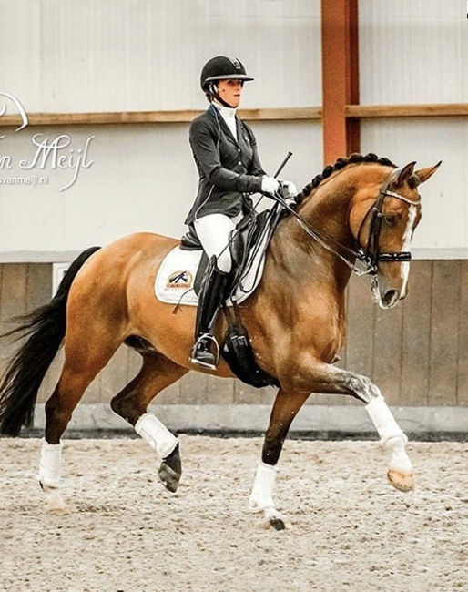 Jade Oord and Issey Myake at a practise show in Assen in September 2020 :: Photo © Iris van Meijl