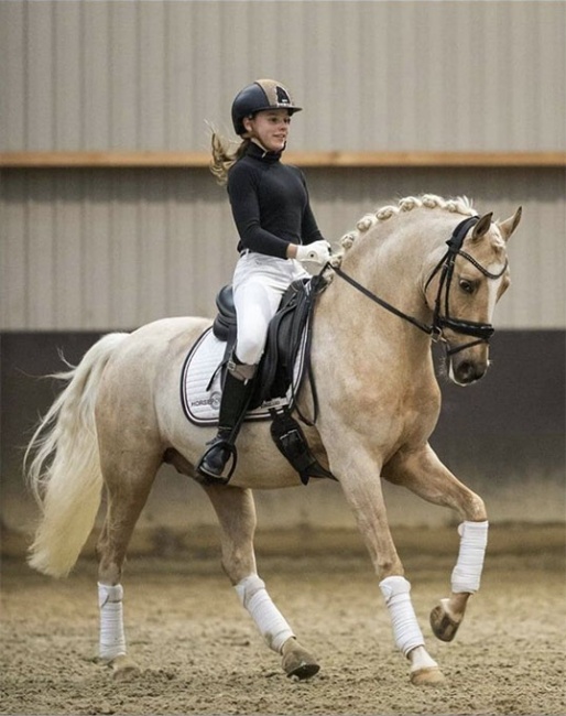 Bridget Lock and Don Davino :: Photo © Equigeniek