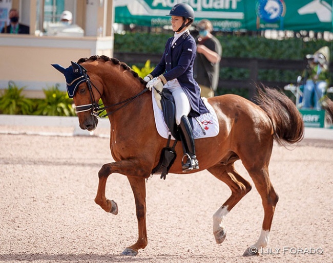 Mathilde Blais Tetreault and Fedor win the Intermediaire II 3* at the 2021 CDI Wellington :: Photo © Lily Forado