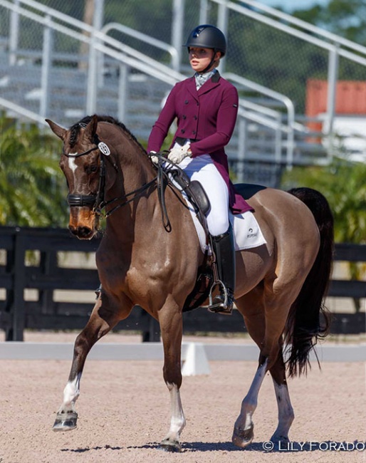 Maja Cornwell makes her Young Riders debut aboard 2012 Canadian Olympic team horse Breaking Dawn :: Photo © Lily Forado