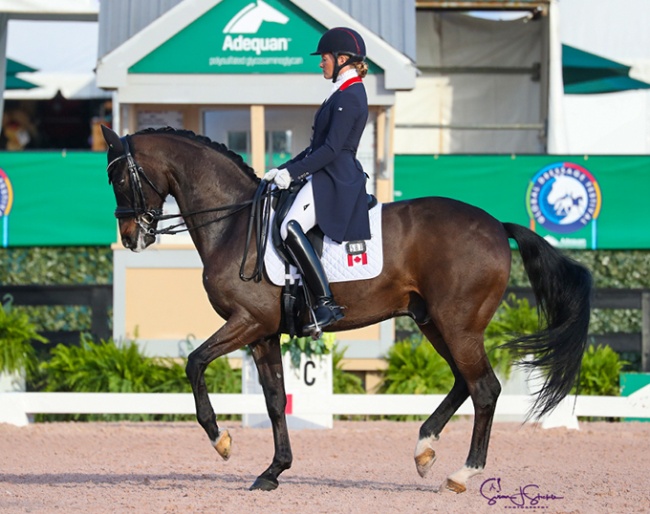 Lindsey Kellock and Sebastien at the 2021 CDI-W Wellington :: Photo © Sue Stickle