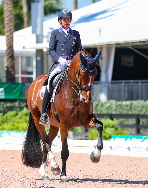 Steffen Peters and Suppenkasper in the 5* Grand Prix for Kur at the 2021 CDI Wellington :: Photo © Sue Stickle