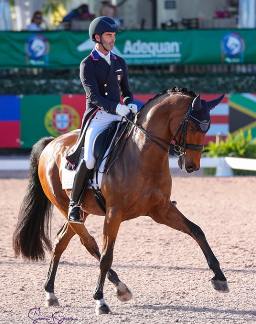 Nick Wagman and Don John at the 2021 CDI-W Wellington :: Photo © Sue Stickle