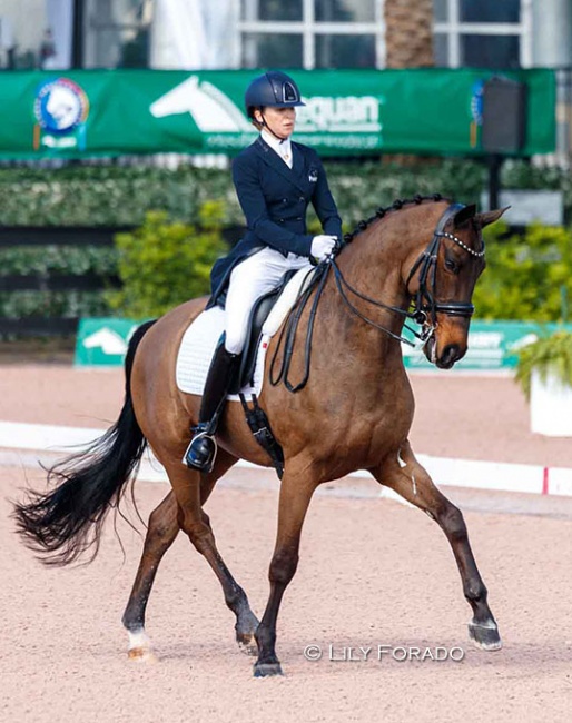 Lisa Wilcox and Valando BJ at the 2021 CDI Wellington :: Photo © Lily Forado