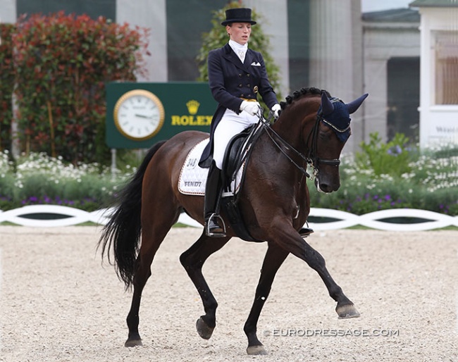 Hedda Droege and Fifth Avenue in the Under 25 classes at the 2011 CDIO Aachen :: Photo © Astrid Appels