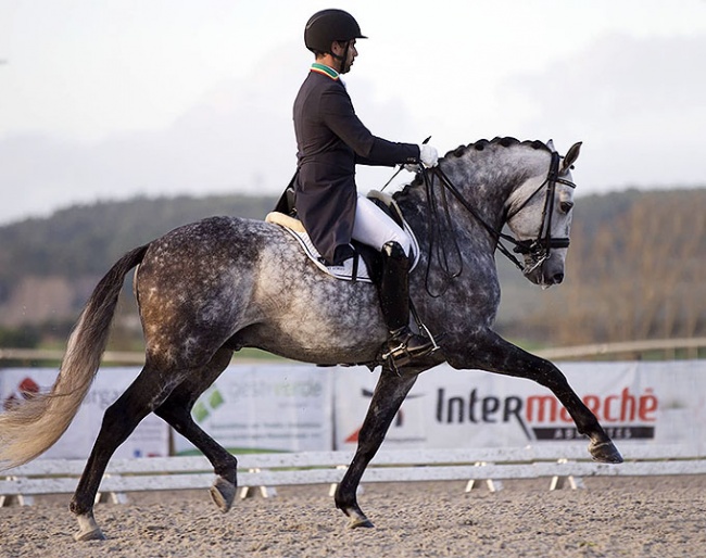 Roberto Brasil and Vila de Sagres' Grand Prix stallion Hercules d'Atela :: Photo © Afonso B. Rodrigues