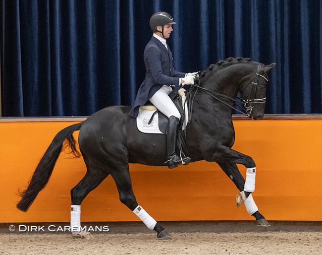 Remy Bastings and Hennessy in the KWPN Online Stallion Show taped in January 2021 :: Photo © Dirk Caremans