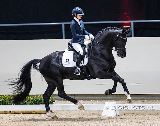 Charlotte Fry and Kjento in the 2021 KWPN Stallion Competition in Ermelo :: Photo © Digishots