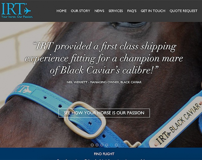 World famous race horse Black Caviar flies IRT