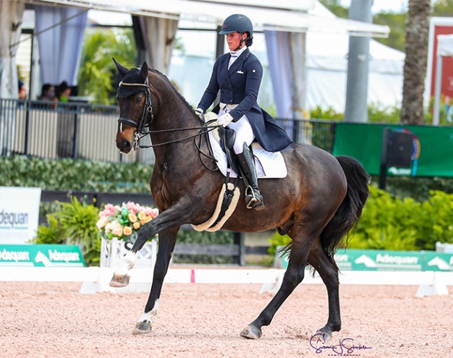 Bearice Boucher on Hexagon's Baldacci at the 2021 CDIO-U25 Nations Cup in Wellington :: Photo © Sue Stickle