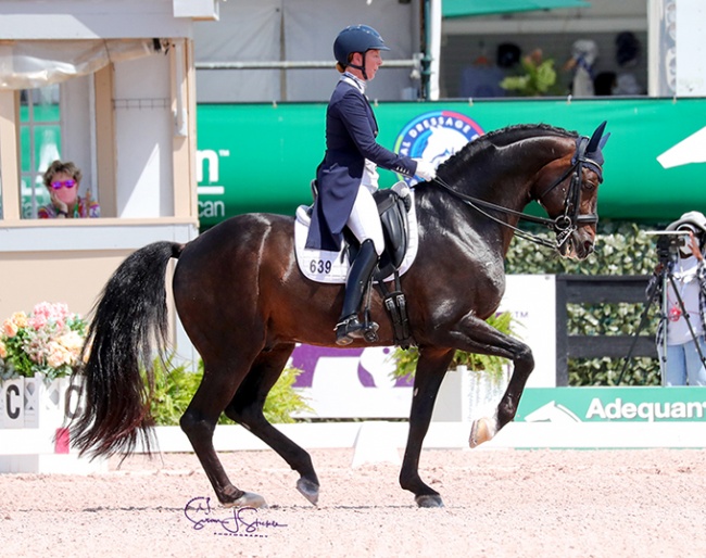 Sabine Schut-Kery and Sance at the 2021 CDIO Wellington :: Photo © Sue Stickle