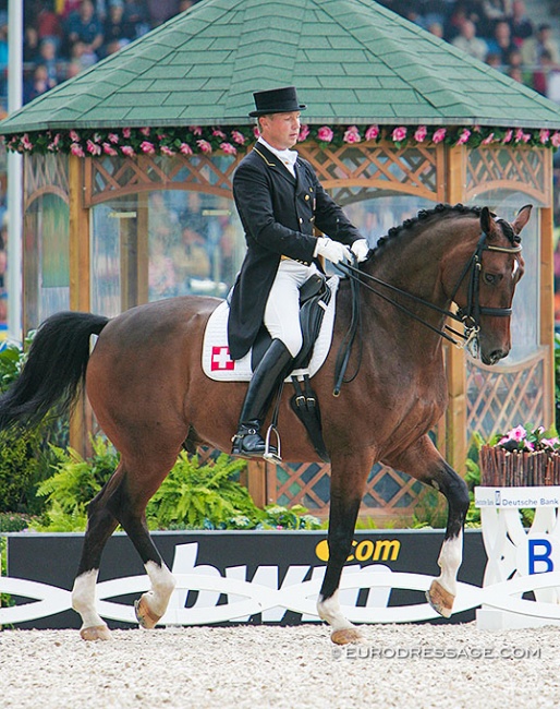 Christian Pläge and Regent at the 2006 World Equestrian Games in Aachen :: Photo © Astrid Appels