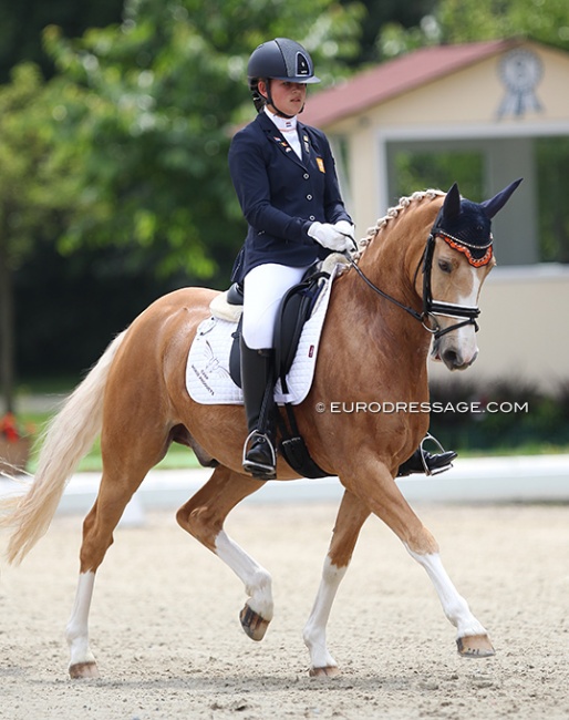 Rhianne Ashley Ubels and First Hummer at the 2018 CDIO-P Hagen :: Photo © Astrid Appels
